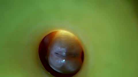 bigmoneycorey online show from March 16, 2026, 6:56 pm