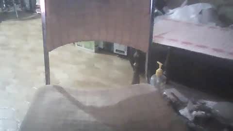 bigpenix online show from January 26, 2025, 3:48 am