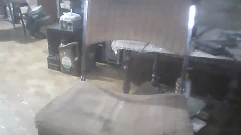 bigpenix online show from February 15, 2026, 1:13 am