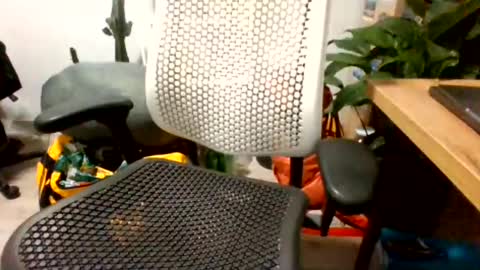 bigpolishdick12345 online show from June 24, 2026, 11:04 pm