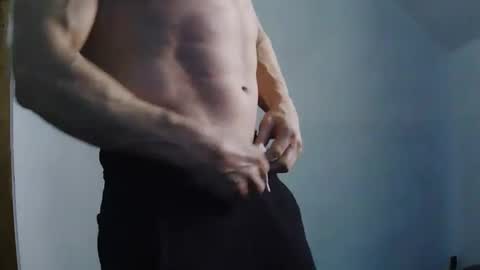 Snapshot of bigredmachine25 chatting on January 23, 2025, 11:47 pm Jarvis online show from January 23, 2025, 11:47 pm