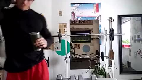 Snapshot of bigredmachine25 chatting on January 24, 2025, 3:45 pm Jarvis online show from January 24, 2025, 3:45 pm