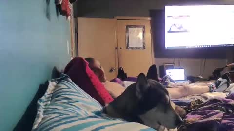 Snapshot of bigtomcat45 chatting on December 24, 2024, 6:17 pm bigtomcat45 online show from December 24, 2024, 6:17 pm