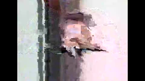 Snapshot of bigtrozo chatting on June 8, 2026, 4:29 pm bigtrozo online show from June 8, 2026, 4:29 pm