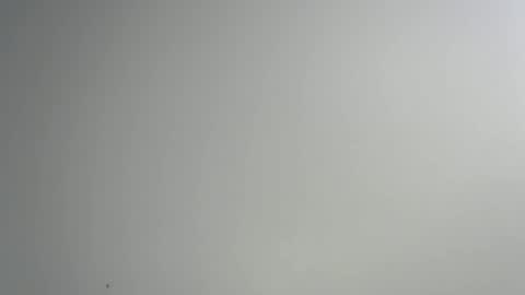 bigxcountry_39 online show from February 15, 2026, 3:36 am