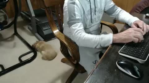 billy471 online show from January 23, 2025, 10:11 pm