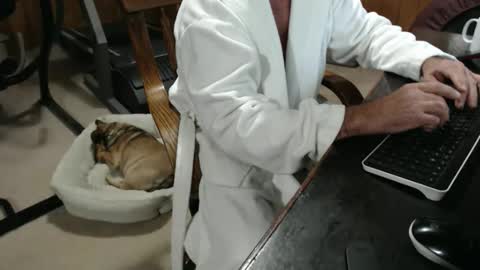 billy471 online show from November 18, 2025, 4:33 pm