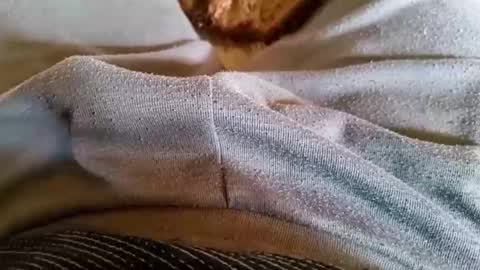 pocolococo online show from March 23, 2026, 8:51 am