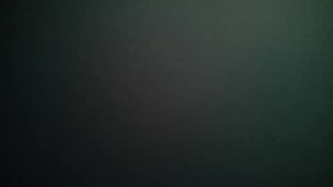 Snapshot of bitwink30 chatting on February 13, 2026, 3:24 am bitwink30 online show from February 13, 2026, 3:24 am