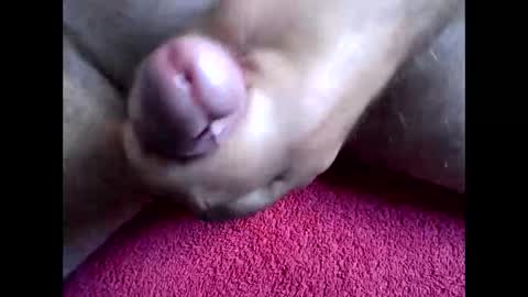 Snapshot of blabla78000 chatting on September 15, 2025, 6:46 am blabla78000 online show from September 15, 2025, 6:46 am