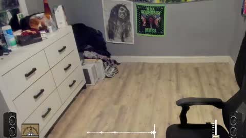 Snapshot of blaccanalmatters chatting on October 17, 2025, 11:29 pm Plant Base Streamers From Pennsylvania online show from October 17, 2025, 11:29 pm