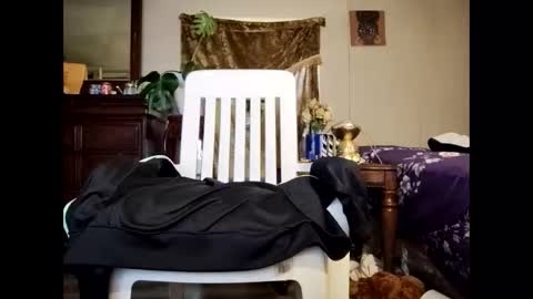 blacccocc4u2 online show from March 29, 2026, 12:16 pm