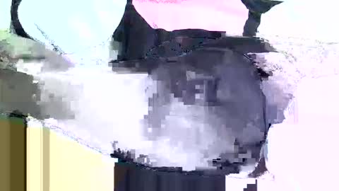 black_berry9 online show from March 16, 2026, 5:44 am