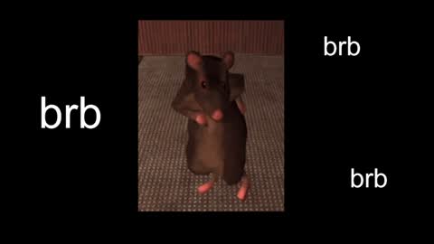  Black Kittie    Wednesday - 1300 - 1900 GMT help me get 100 thumbs up online show from January 31, 2025, 1:12 pm