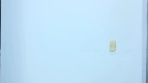 black_treassure online show from February 12, 2026, 5:35 am