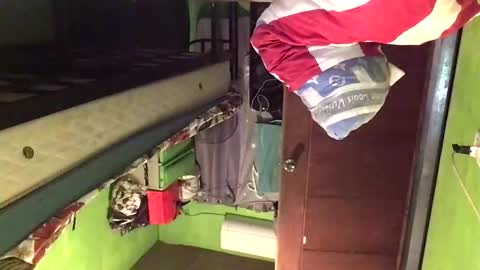 Crystal online show from February 20, 2026, 2:30 am