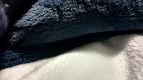 Snapshot of blackhammer8787 chatting on December 8, 2024, 6:43 am blackhammer8787 online show from December 8, 2024, 6:43 am