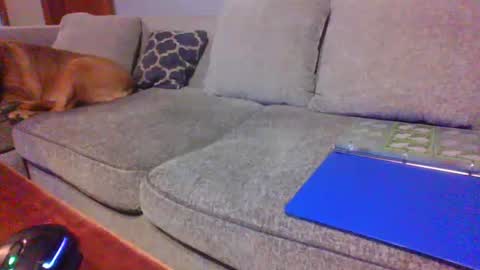 Snapshot of blaw_1321 chatting on June 21, 2026, 12:35 am blaw_1321 online show from June 21, 2026, 12:35 am