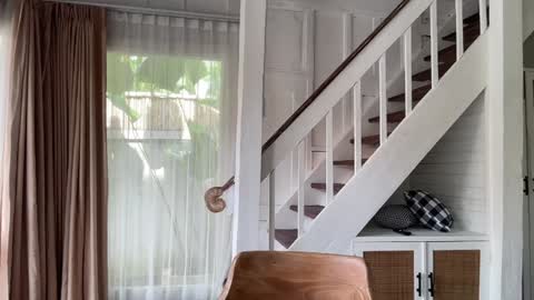 Snapshot of bloomyogi chatting on January 14, 2026, 2:17 am Emma Bloom online show from January 14, 2026, 2:17 am