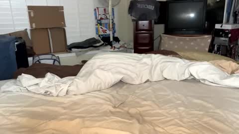 blue_cum_bunny123 online show from March 16, 2026, 10:30 am