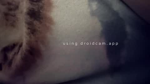 Snapshot of bluealpakka chatting on March 15, 2026, 4:40 am bluealpakka online show from March 15, 2026, 4:40 am