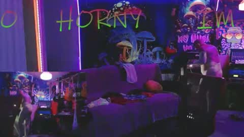 bluebandekim online show from April 8, 2026, 7:41 am