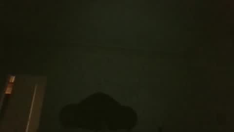 Snapshot of bluemoose70 chatting on April 19, 2026, 2:55 am bluemoose70 online show from April 19, 2026, 2:55 am