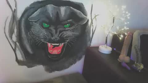 Snapshot of blueskysierra chatting on January 12, 2025, 2:41 pm Sierra online show from January 12, 2025, 2:41 pm