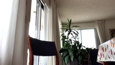 Snapshot of blueyedudeseattle chatting on September 21, 2025, 6:42 pm Blueyedudeseattle online show from September 21, 2025, 6:42 pm