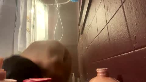 Snapshot of bmfkarijo chatting on November 1, 2025, 9:44 am LovelyJolene online show from November 1, 2025, 9:44 am