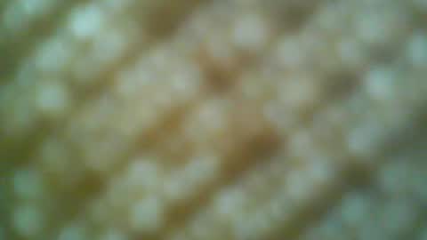 Motto Motto online show from May 31, 2026, 6:31 pm