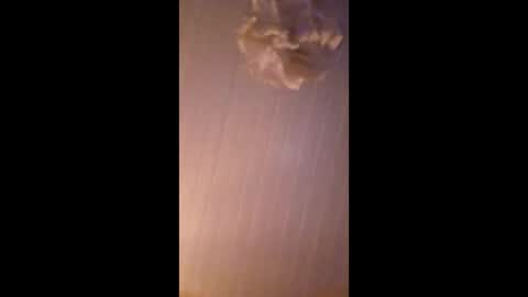 Snapshot of bobberman78 chatting on December 20, 2025, 4:25 pm Dan online show from December 20, 2025, 4:25 pm