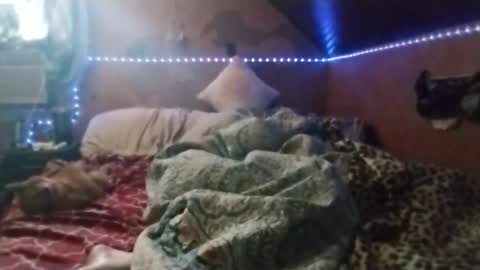 bobdeezzzzz online show from March 19, 2026, 5:17 pm