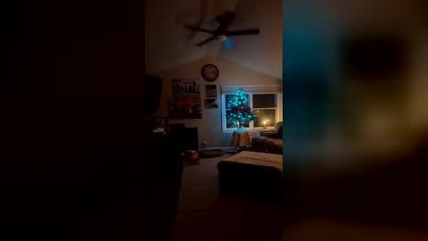 Snapshot of bodiddly64 chatting on December 14, 2025, 6:19 am bodiddly64 online show from December 14, 2025, 6:19 am