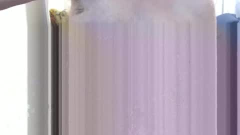 Snapshot of bolbil1 chatting on December 15, 2024, 11:34 am bolbil1 online show from December 15, 2024, 11:34 am