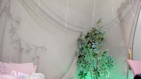 Snapshot of bonniecute_ chatting on November 23, 2025, 11:37 pm online show from November 23, 2025, 11:37 pm