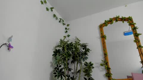 Snapshot of bonniecute_ chatting on July 11, 2026, 12:13 am online show from July 11, 2026, 12:13 am