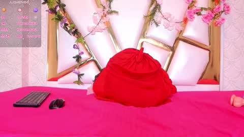 bonnykorz online show from March 13, 2026, 12:23 pm