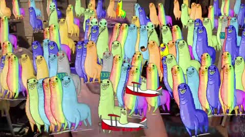 Snapshot of booker_baxton chatting on January 15, 2025, 7:05 am Booker Baxton online show from January 15, 2025, 7:05 am