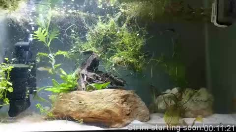 Snapshot of booker_baxton chatting on September 21, 2025, 2:57 am Booker Baxton online show from September 21, 2025, 2:57 am