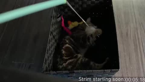 Snapshot of booker_baxton chatting on October 4, 2025, 3:04 am Booker Baxton online show from October 4, 2025, 3:04 am