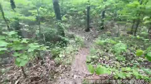 Snapshot of booker_baxton chatting on October 9, 2025, 3:04 am Booker Baxton online show from October 9, 2025, 3:04 am