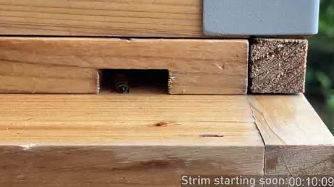 Snapshot of booker_baxton chatting on October 22, 2025, 2:56 am Booker Baxton online show from October 22, 2025, 2:56 am