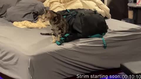 Booker Baxton online show from February 25, 2026, 4:00 am