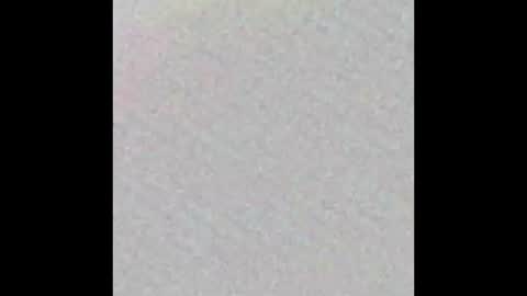 Bootlegtrev online show from February 10, 2026, 11:36 am