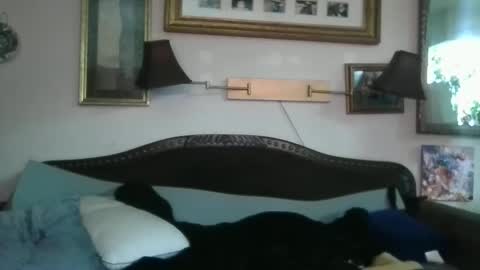 Snapshot of boredaf6678 chatting on December 16, 2024, 10:50 am boredaf6678 online show from December 16, 2024, 10:50 am