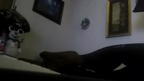 Snapshot of boredaf6678 chatting on December 23, 2024, 9:05 am boredaf6678 online show from December 23, 2024, 9:05 am