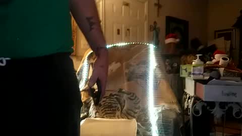 Snapshot of boredaf6678 chatting on December 25, 2024, 9:34 am boredaf6678 online show from December 25, 2024, 9:34 am