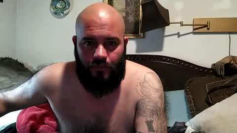 Snapshot of boredaf6678 chatting on January 6, 2025, 3:31 am boredaf6678 online show from January 6, 2025, 3:31 am