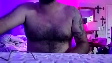 Snapshot of boredaf6678 chatting on November 8, 2025, 12:22 am boredaf6678 online show from November 8, 2025, 12:22 am